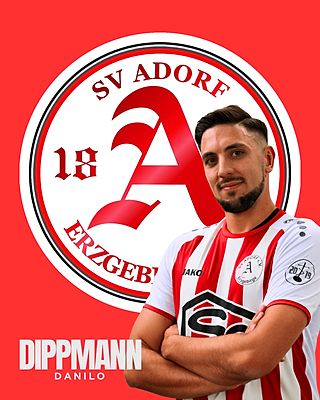 Danilo Dippmann