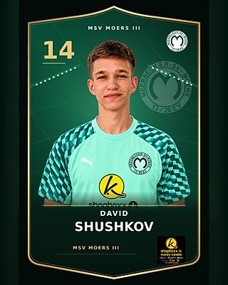 David Shushkov