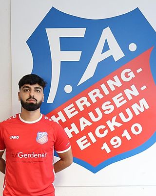Arasch Hassin