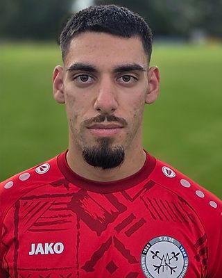 Nikolaos Vlachodimos