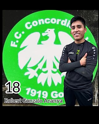 Robert Gonzalo Felix Aranya