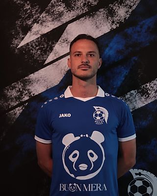 Vasilios Frenkos