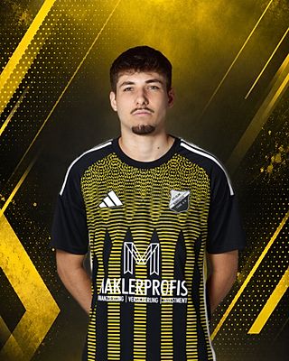 Sandro Hanneder