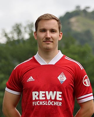 Fabrice Werner