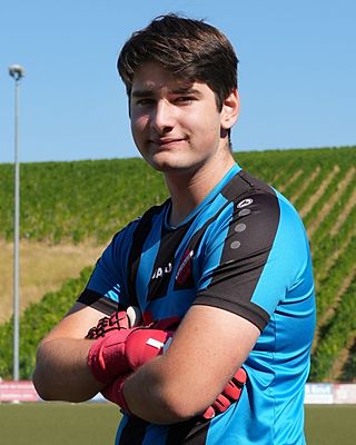 Konstantin Krieg