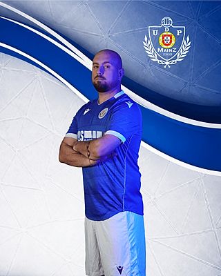 Manuel Luis Tavares Domingos