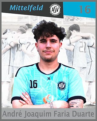 André Joaquim Faria Duarte