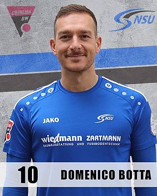 Domenico Botta
