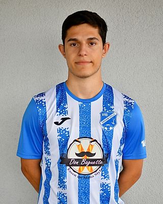 Dimitrios Orgianelis