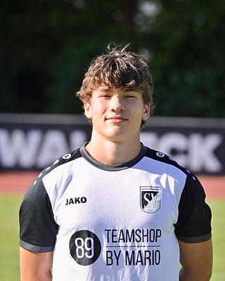 Mathis Hink
