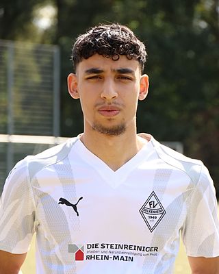 Ayoub Alhamssi