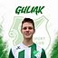 Stefan Guliak