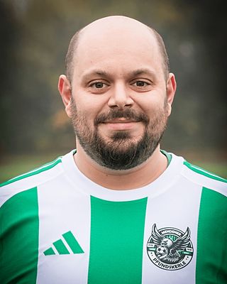 Karl Johann Verhulst