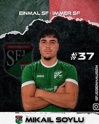 Mikail Soylu