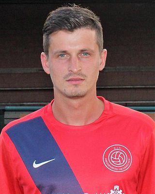 Nicolae Apa