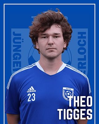 Theo Tigges