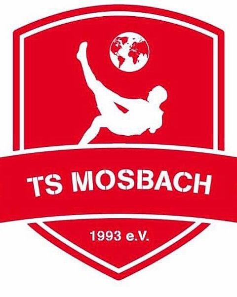 Foto: TS Mosbach Media