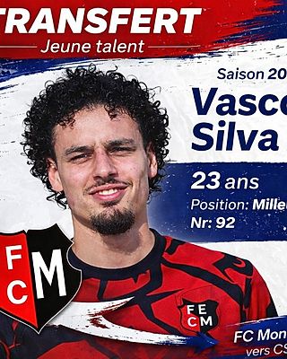 Vasco Silva Pinto