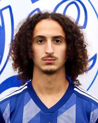 Mohamad Najem Al Abeid