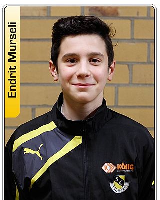 Endrit Murseli
