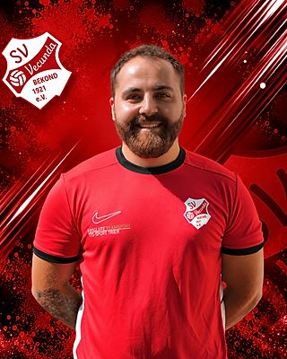 Mirko Heinz