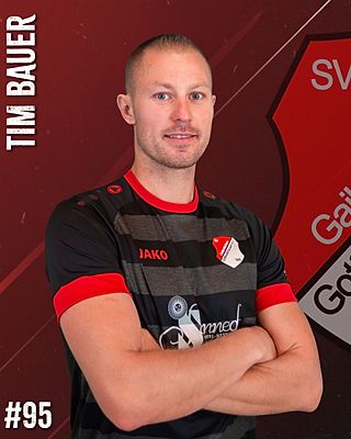 Tim Bauer