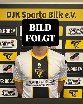 Paul Felix Hoffmeister