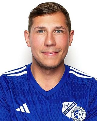 Tobias Breitenauer