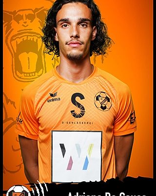 Adriano Junior De Sousa Ferraz