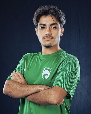 Sayed Mustafa Sayer