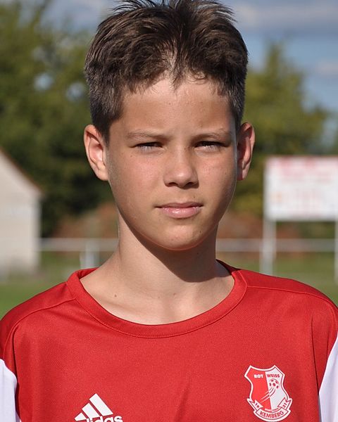 Etienne Wiersig