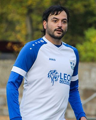 Stavros Dimitrios Damis
