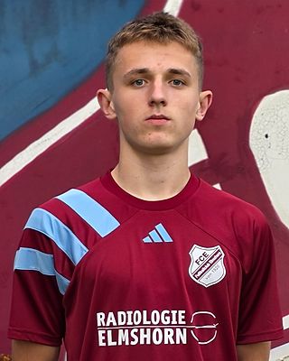 Vladyslav Miodushevskyi