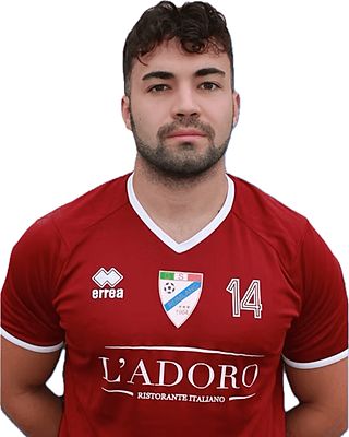 Michelangelo Megna