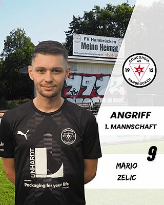 Mario Zelic