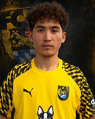 Hossein Ahmadi
