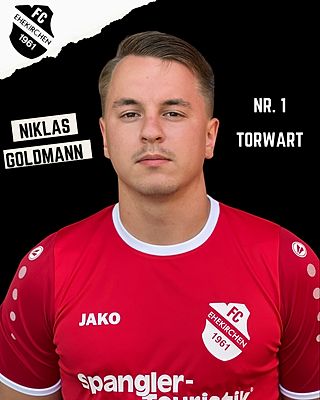 Niklas Goldmann