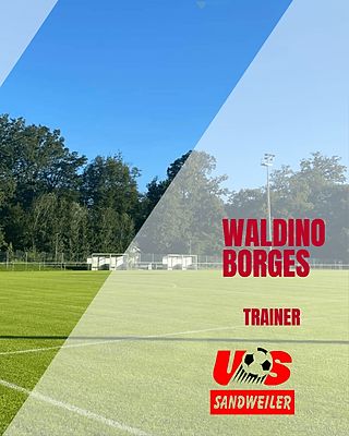 Waldino Borges Tavares
