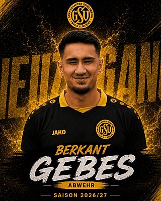 Berkant Gebes