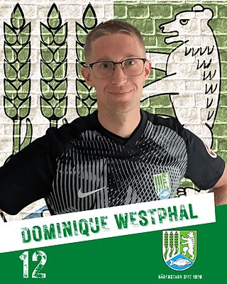 Dominique Dirk Westphal