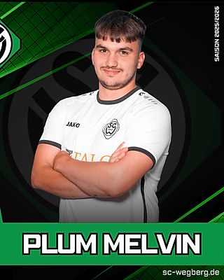 Melvin Plum