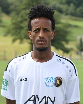 Dawit Tekie Abraham