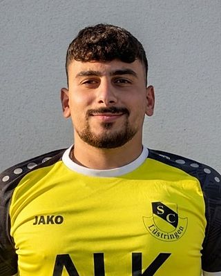 Abdallah Abdin