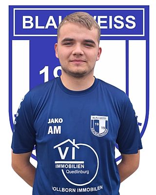 Adam Jonathan Mantel