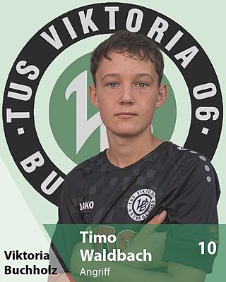 Timo Waldbach