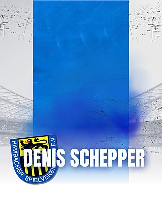 Denis Schepper