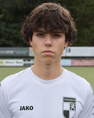 Mats Schiergens