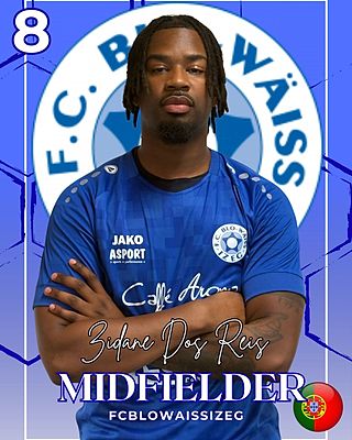 Zidane Dos Reis De Oliveira