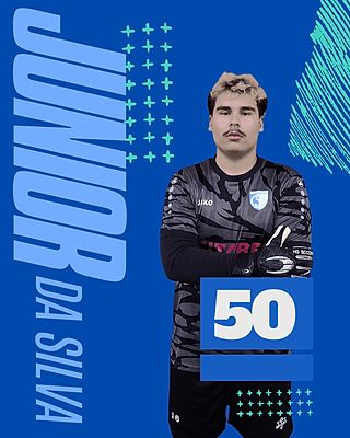 Paulo Junior Araujo da Silva