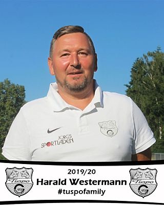 Harald Westermann